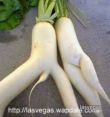Images 4